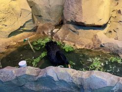 -酷嗒动物文化乐园(cutezoo西溪乐天城店)