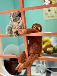 -奈尔宝家庭中心·亲子餐厅(苏州大悦城店)