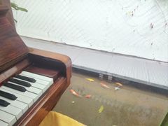 -绿房子方寸咖啡(星海名城店)