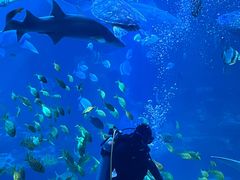 -太平洋海底世界