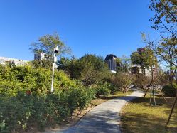 -北京妇产医院(东院)