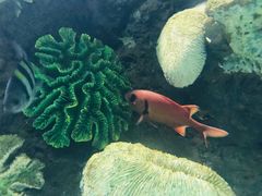 -苏州海洋馆
