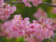 -上海市曹杨第二中学