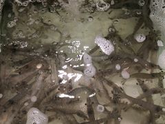 -汇腾天虹(吕厝店)