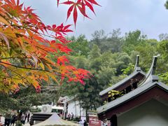 -岳麓山风景名胜区