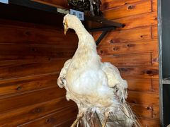 -南京金牛湖风景区