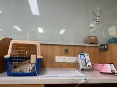 -联合动物医院(光谷诊疗中心)