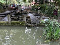 -成都市活水公园