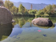 -大理洱海