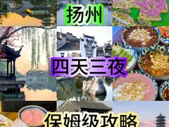 -扬州狮子楼·非遗淮扬菜(东关街店)