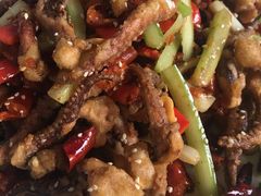 -清真•蜀风园(丁字沽总店)