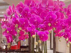 -上海小南国(国发店)