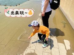 -大港湿地公园