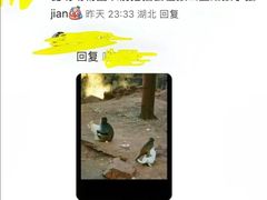 -昆明动物园