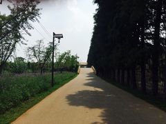 -乌村