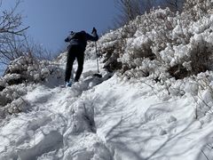 -阳台山自然风景区