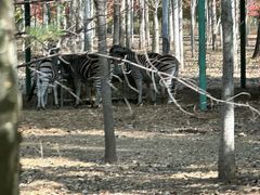 -秦皇岛野生动物园