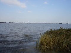 -吴淞炮台湾湿地森林公园烧烤区