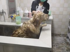 -宠福鑫动物医院·动物疾病诊疗中心(天通苑店)