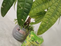 -易阿姨奶茶(万达店)