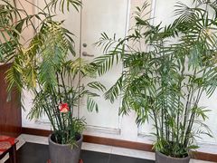 -惠丰堂饭庄·烤鸭·京味菜(西北旺·唐家岭店)