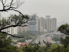 -金鸡山公园