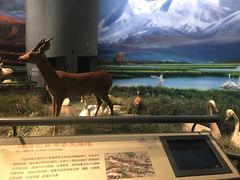 景点-中国湿地博物馆