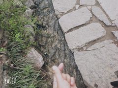 -井塘古村