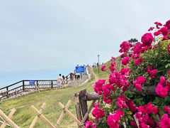 -小麦岛公园