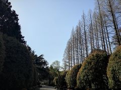 -上海虹桥迎宾馆