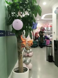 -联合丽格·张菡丽格医疗美容