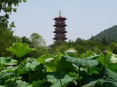 -云龙湖旅游景区