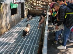 -北京鹿世界主题园