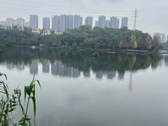 -重庆彩云湖湿地公园