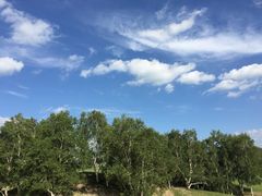 -塞罕坝国家级自然保护区