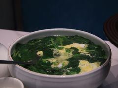 -丁老爷子苏香圆