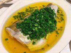 葱油蒸白水鱼-玫瑰厅上海菜(兴国路店)