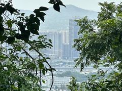 -紫金山山顶公园