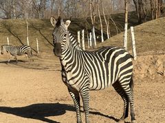 -北京野生动物园