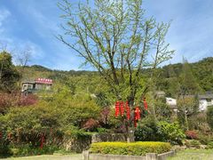 景点-径山寺