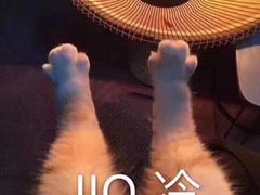 -绍兴启迪乔波冰雪世界