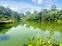 -新加坡植物园