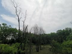 -西湖风景区-江洋畈生态公园