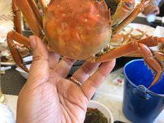 -澜悦港海鲜体验主题餐厅