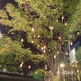侑吃侑趣侑Happy