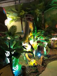 -恐龙探索乐园(磁器口店)