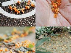 -宁波市保国寺古建筑博物馆