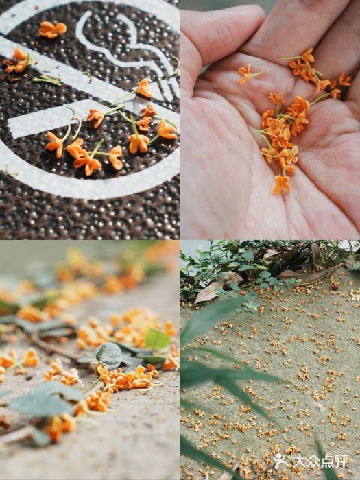 宁波市保国寺古建筑博物馆图片