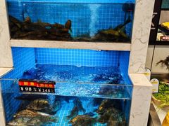 -鱼痴渔醉·食鲜集(月亮湾店)