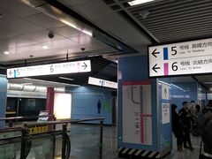 -大龙山(地铁站)